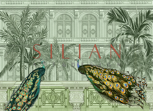Peacock